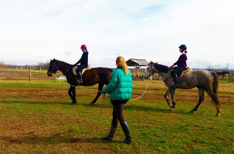 30 perces futószáras lovas oktatás kezdőknek