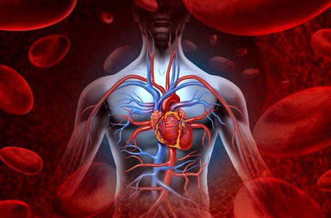 szent szív állapotfelmérése magas vérnyomás kezelés csökkenti a vérnyomást