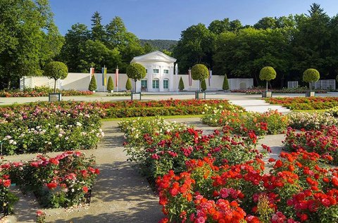 Látogass el a Baden bei Wien-i rózsafesztiválra!