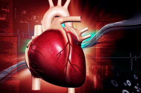 Komplex szív és agyi-érrendszeri felmérés