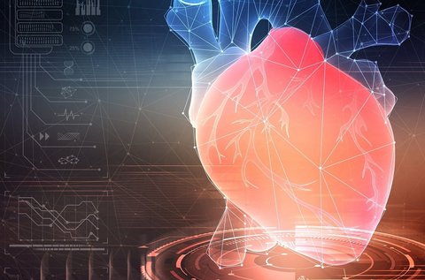Kardiológiai vizsgálat szív-ultrahanggal