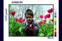 10.000 Ft értékű utalvány egyedi gobelin alap festésére fénykép alapján Lehner Ella festőművésztől