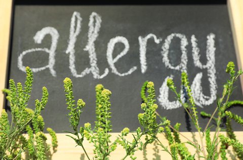 Allergia-, ételérzékenység és Candida vizsgálat