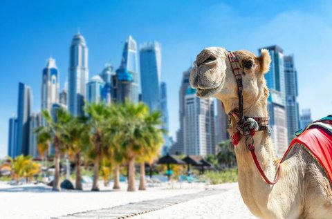 Körutazás Dubaiban és az Emírségekben