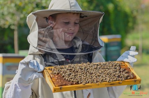 Méhészeti bemutató kóstolással