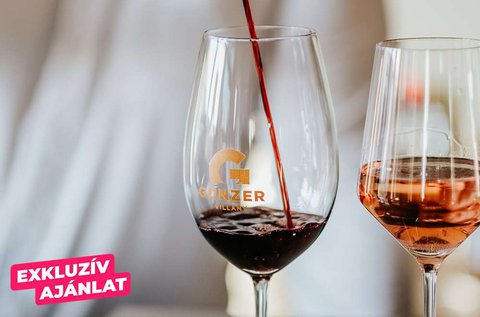 Villányi borkóstoló Ördögárok dűlőtúrával 4 főre