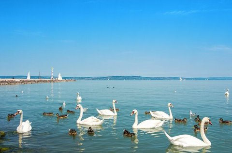 Gondtalan balatoni pillanatok Siófokon