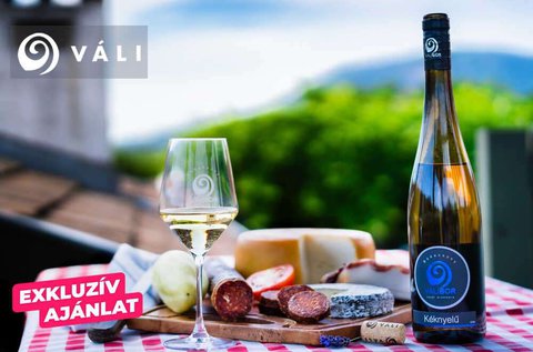 Basic borkóstoló 2 fő részére Badacsonyban