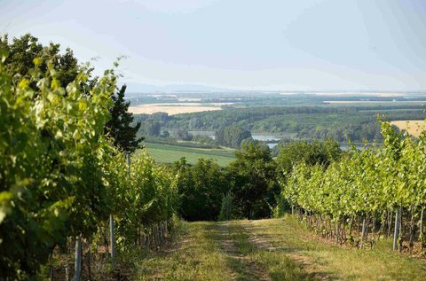 Terepjárós kalandtúra a Villányi Borvidéken