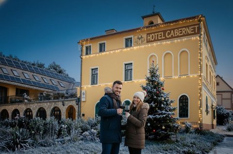 Borkóstolós pihenés a Villányi borvidéken