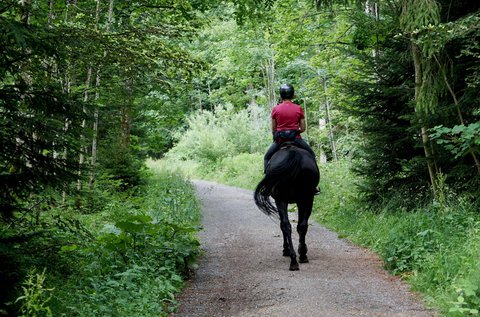 Haladó lovas túra gyerekeknek és felnőtteknek