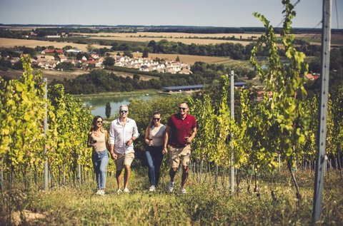Borkóstolós nyár a Villányi borvidéken