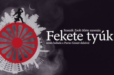 Fekete tyúk a Benczúr Kertben