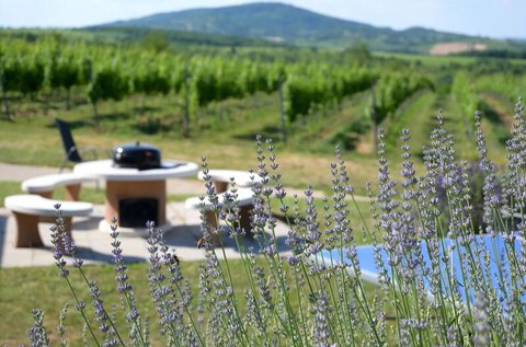 Pihenés a Balaton-felvidéki borvidéken, Nemesvitán
