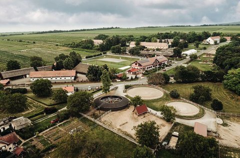 Élményteli pihenés a Balatonnál