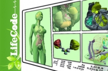 Teljes körű egészségügyi állapotfelmérés 3D számítógépes diagnosztikai vizsgálattal, szakorvosi konzultációval és tanácsadással