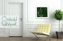 Költöztesd otthonodba az üde természetet! 3D örökzöld faliképek tartósított növényekből (45x25 cm)