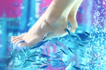 Debrecen: 3 alkalmas halpedikűr