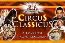 Gyermek és felnőtt belépőjegyek a Fővárosi Nagycirkusz Circus Classicus című előadására (július 31-én 17:00-kor)