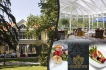 1 éjszaka 2 fő részére félpanzióval Berencsepusztán, a Château Visz Hotel*****-ben 105.500 Ft helyett 52.750 Ft-ért (5 fogásos gourmet vacsorával)