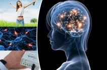 Gyógyszermentes gyógyulás! 3 alkalmas Zapper biorezonanciás immunerősítő kezelés állapotfelméréssel 6.000 Ft helyett 2.900 Ft-ért (3x60 perc) 