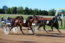 Kincsem Park istálló látogatás 2 fő részére választható lovas ajándékkal (03.28-ig, szombatonként)