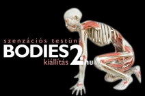 Bodies 2. kiállítás tárlatvezetéssel 5.000 Ft helyett 2.500 Ft-ért a VAM Design Centerben (május 21-25. 10:00-kor)