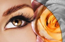 GoldLashes természetes hatású 3D műszempilla 9.900 Ft helyett 2.990 Ft-ért a Masszázs Szolgálattól, a Váci utcában (+ 50% kedvezmény az 1. töltésre)