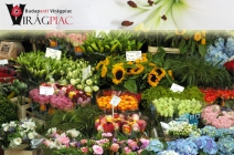 Növények, kerti dekorációk, ajándéktárgyak! Páros belépő a Budapesti Virágpiacra 4.000 Ft helyett 1.000 Ft-ért (június 19-től, hétfő és csütörtök kivételével)