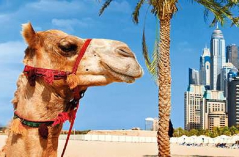8 napos vakáció Dubai-ban, a csodák városában