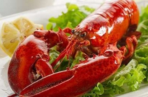 Giusto Olasz Étterem, Planet Sushi, T.G.I. Friday's féláron! Gastro-card ezüst kártya 2 fő részére 4 hónapra 9.900 Ft helyett 4.900 Ft-ért (50% kedvezmény az ételfogyasztás árából 30 budapesti étteremben, névre szóló)