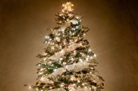 17 m-es karácsonyfa égő 8 világítási lehetőséggel