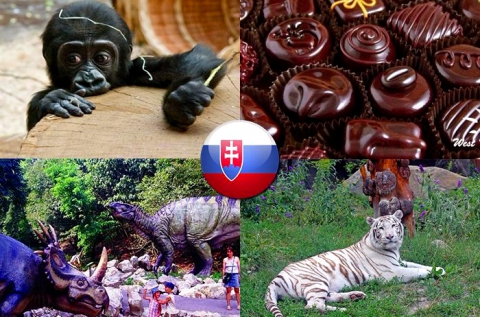 Pozsonyi dinópark, állatkert és csokigyár látogatás