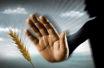 Lisztérzékenység vagy permanens gluténérzékenység vizsgálat vérvétellel