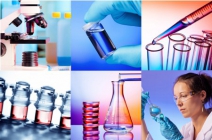 1 alkalmas Vámpírszérumos PRP kezelés 1 választható testterületen ízületi problémákra