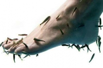 40 perces halpedikűr