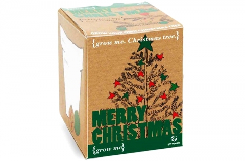 Grow Me karácsonyfa 1 csomag maggal