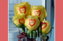 1 szál élő rózsa gravírozott szöveggel díszhengerben, szatén szalaggal díszítve (vörös, sárga vagy fehér)