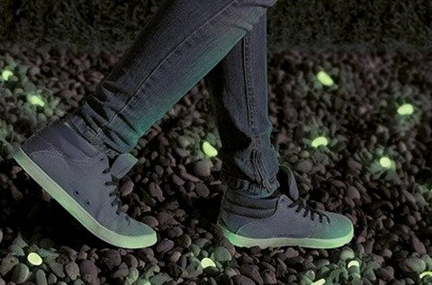 100 db foszforeszkáló, vízálló dekor kavics