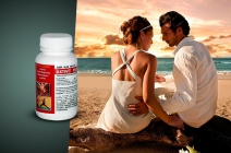 Aktivit Plusz Deer Velvet szarvasagancs bársony immunerősítő és természetes vágyfokozó étrend-kiegészítő 6.490 Ft-ért (Antiherp herpesz krém 1.290 Ft-ért)