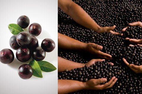 60 db Maqui Berry kapszula antioxidáns tartalommal