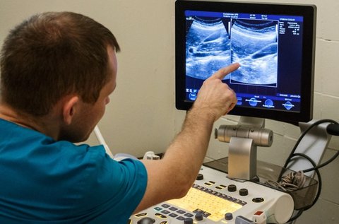 Hasi és kismedencei vagy pajzsmirigy ultrahang