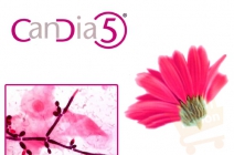 Otthon elvégezhető CanDia5 önellenőrző gyorsteszt candida kimutatására