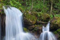 1 napos bakancsos túra a Medve-szurdokban! Buszos utazás 1 fő részére profi túravezetőkkel, parkbelépővel május 11-én