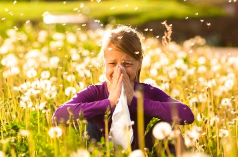 Allergia és ételintolerancia vizsgálat konzultációval