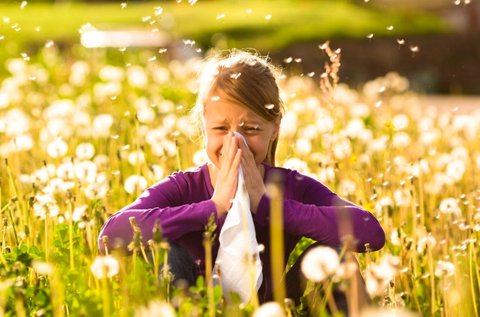 5 alkalmas végleges allergia kezelés