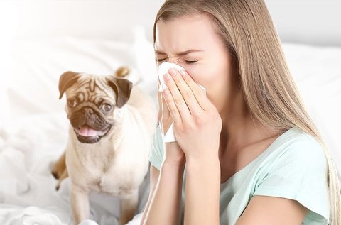 Komplett allergia- és ételintolerancia vizsgálat