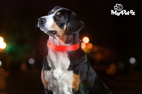 My Pet EZ LED nyakörv kutyáknak