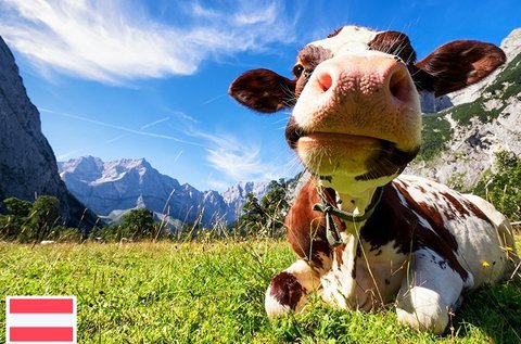 Lindt csoki kóstolás és vonatozás Semmeringen