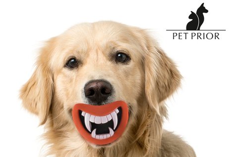 Funny Pet Prior hangotadó gumijáték kutyáknak
